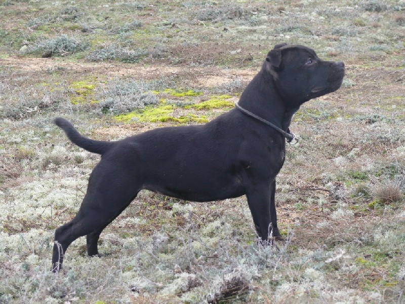 photos 2011
